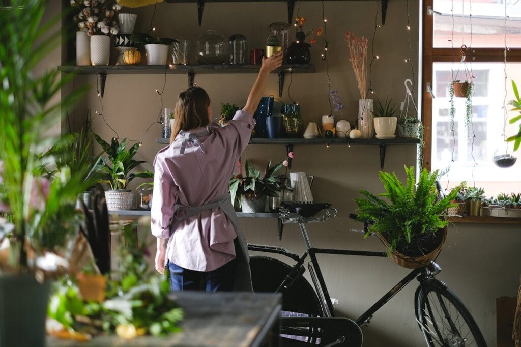 Organization & Decluttering